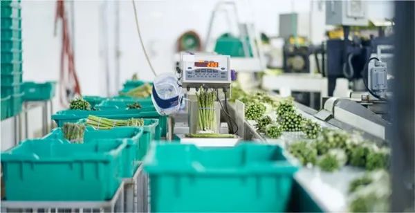 饱受争议的千亿赛道背后：直面预制菜行业6大真相